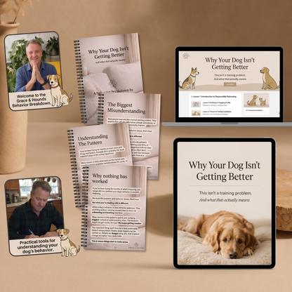 Why Your Dog Isn’t Getting Better